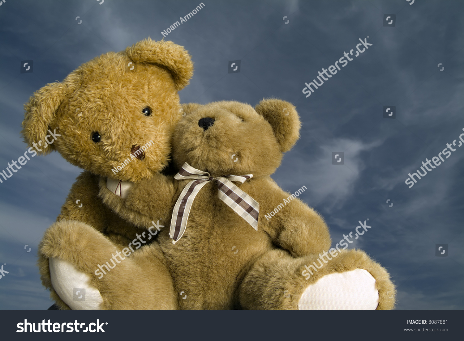 two teddy bears