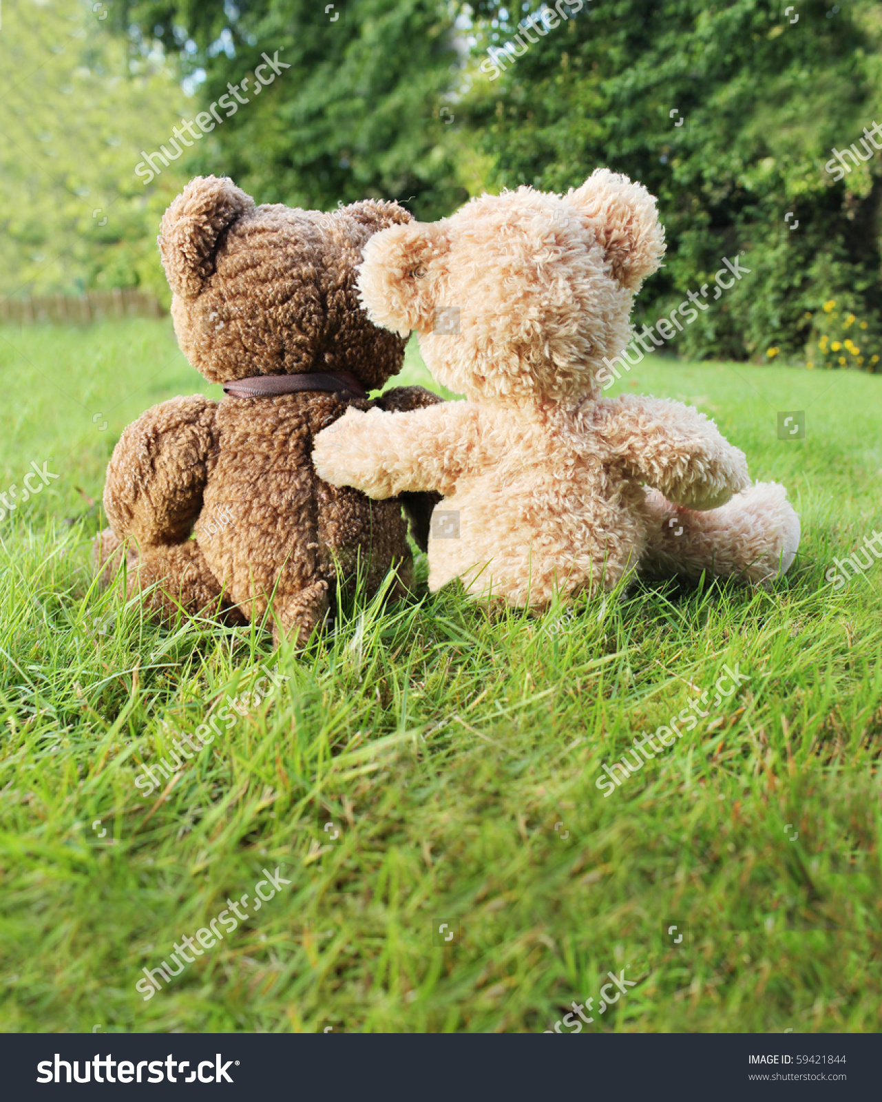 two love teddy bears