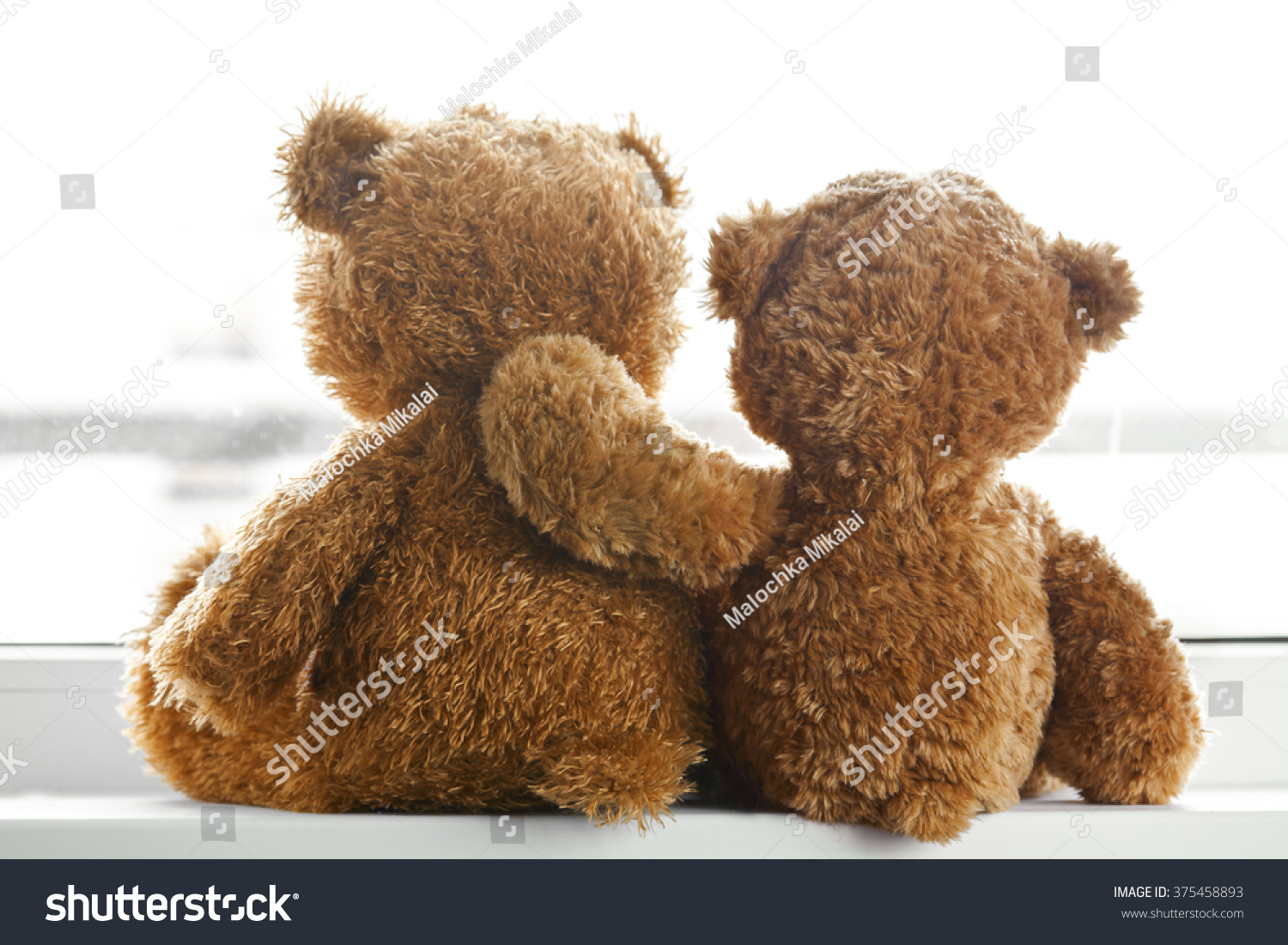 two teddy bears