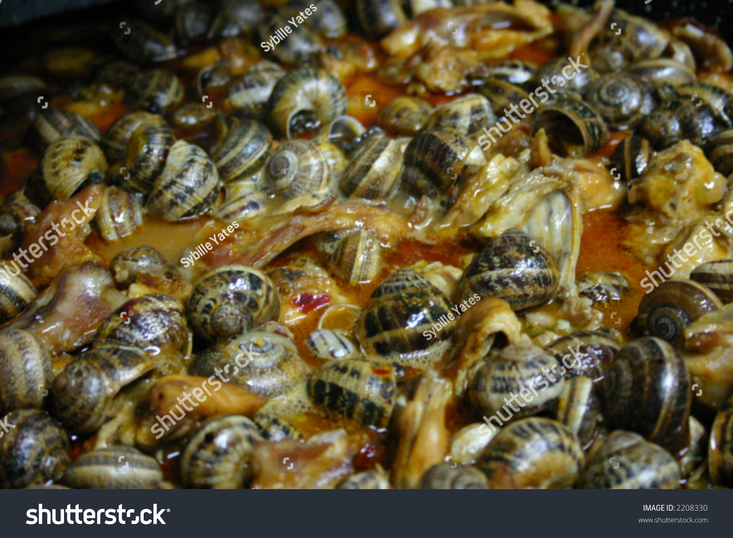 Typical Spanish Dish Caracoles (Snails), Paella Style Stock Photo