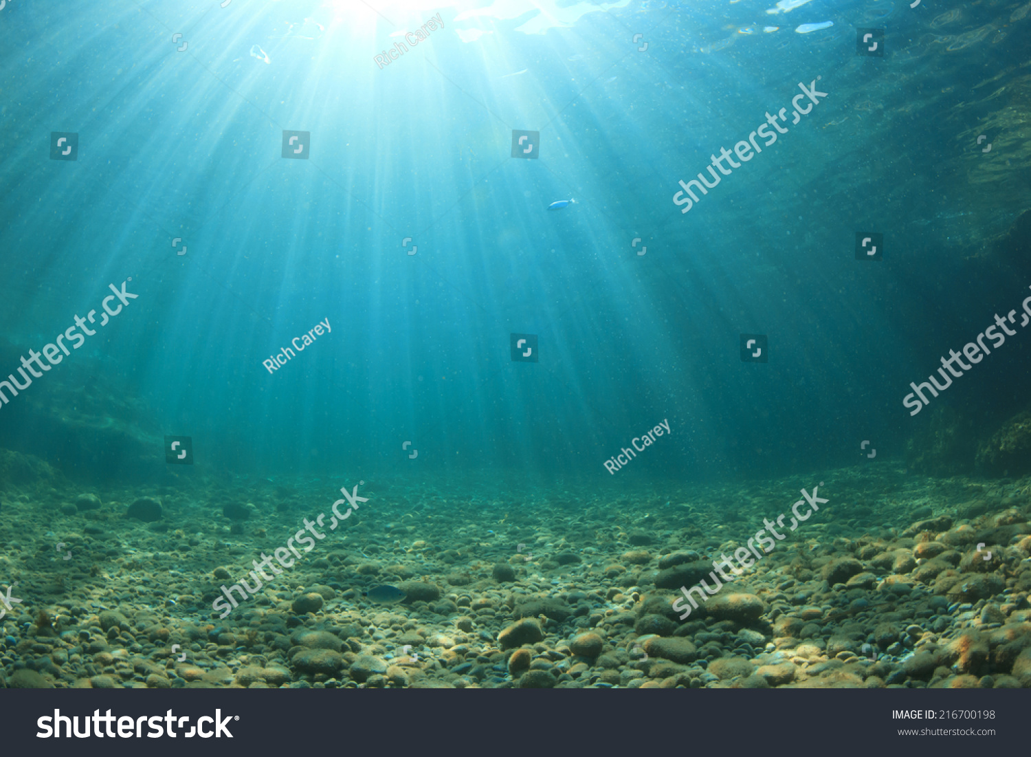 stock options underwater