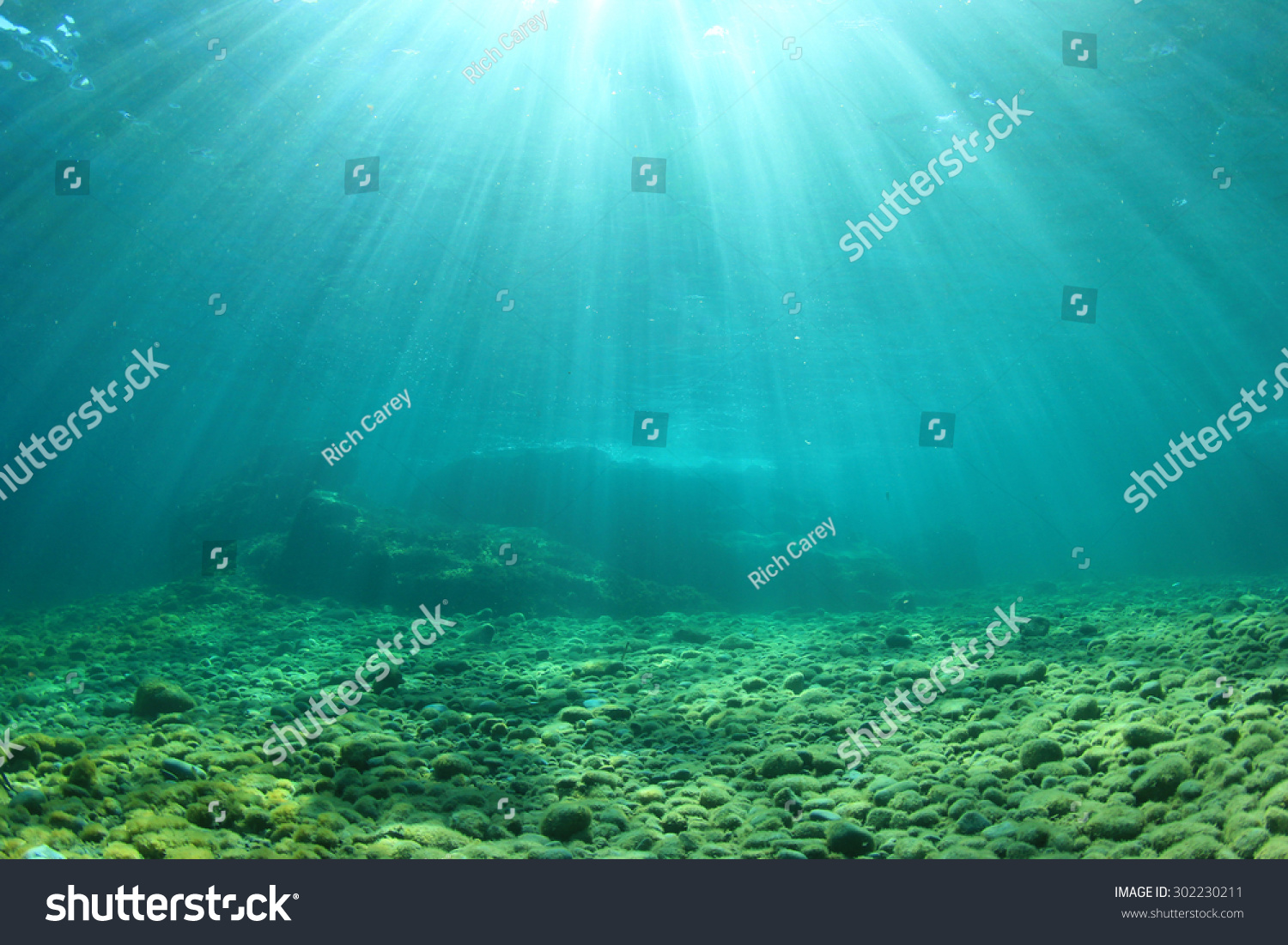 underwater stock options