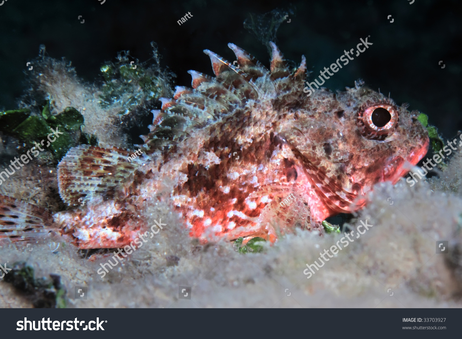 Stock options underwater