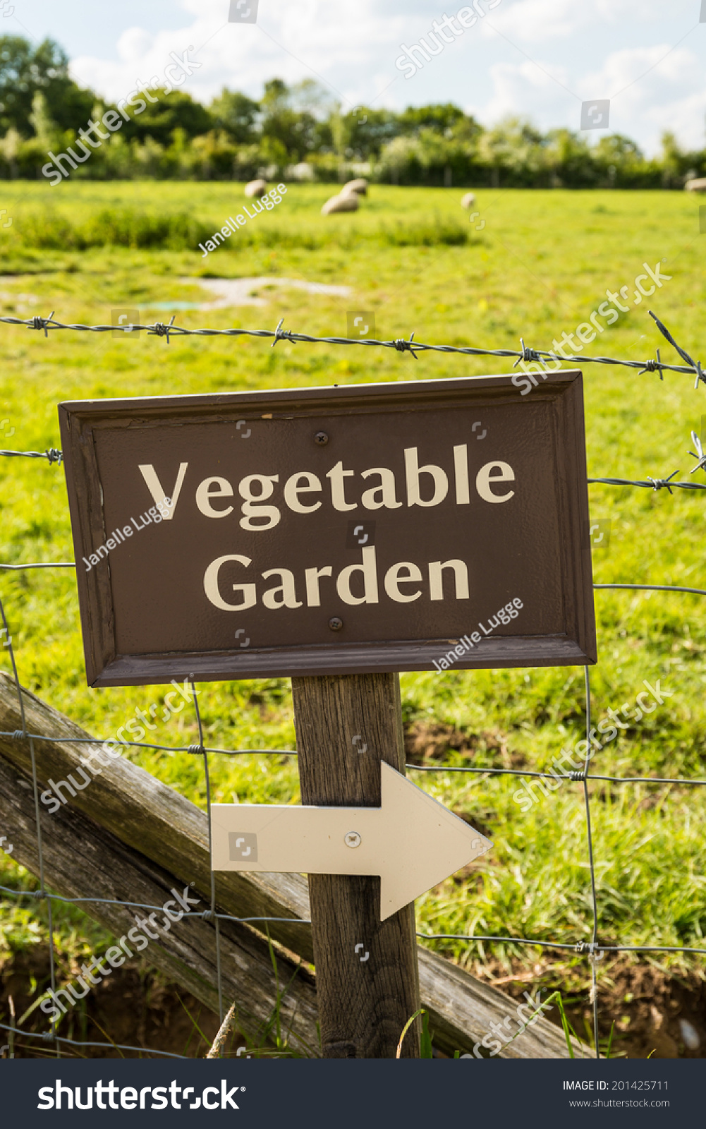 Vegetable Garden Sign Stock Photo 201425711 : Shutterstock