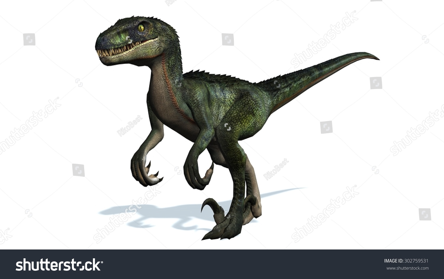 dinosaur with fin on back walks on 2 legs