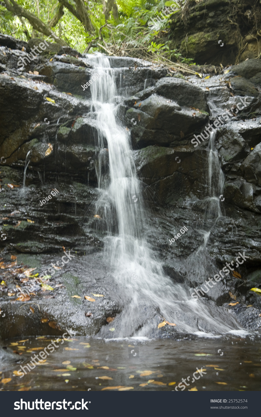 Vertical Image Of A Small Waterfall In A Rainforest. Stock Photo