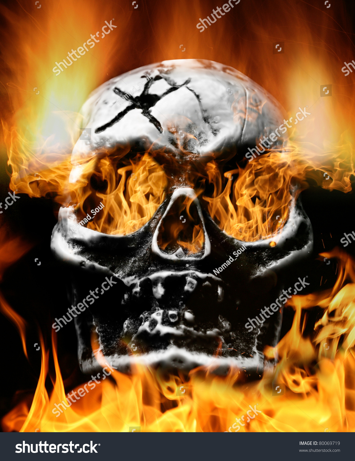 Horror Skull Pictures Images amp Photos Photobucket