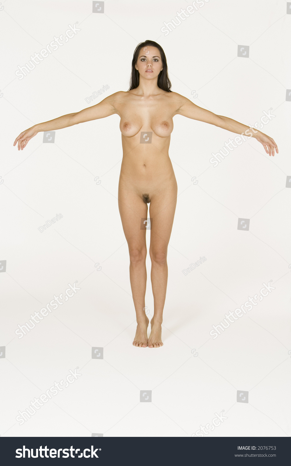 free erotic cartoon strips sexy nude figure female