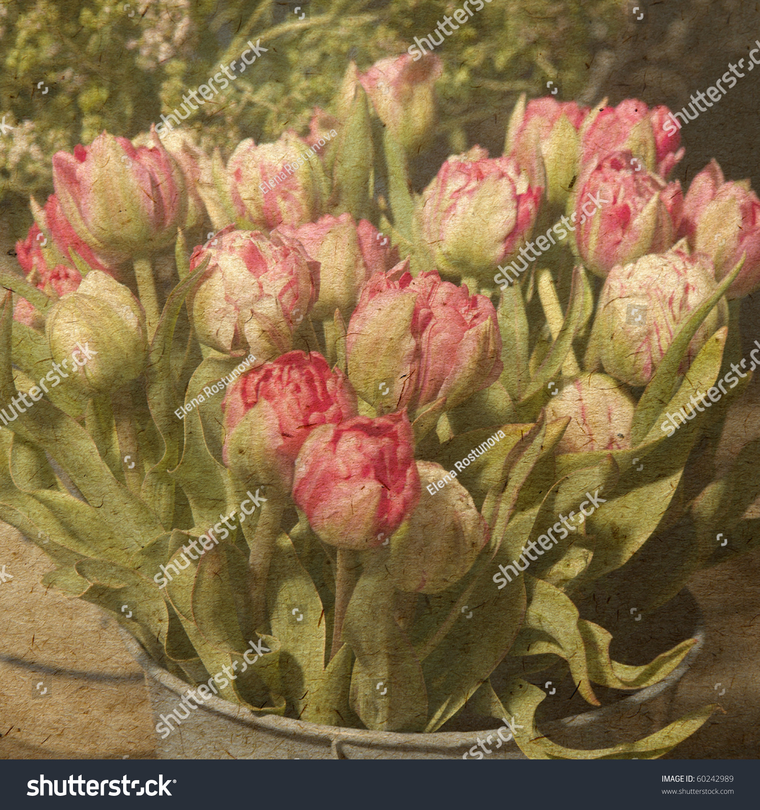 Vintage Wallpaper Background With Tulip Stock Photo 60242989 : Shutterstock