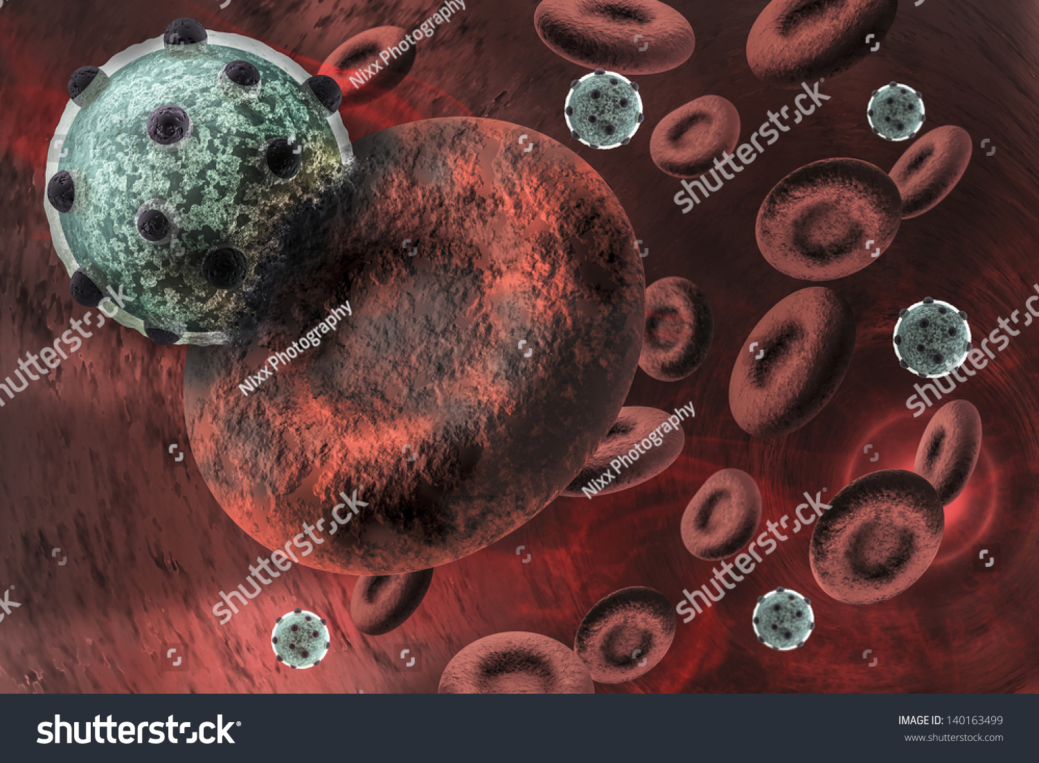 Virus Infecting The Red Blood Cell Stock Photo 140163499 Shutterstock