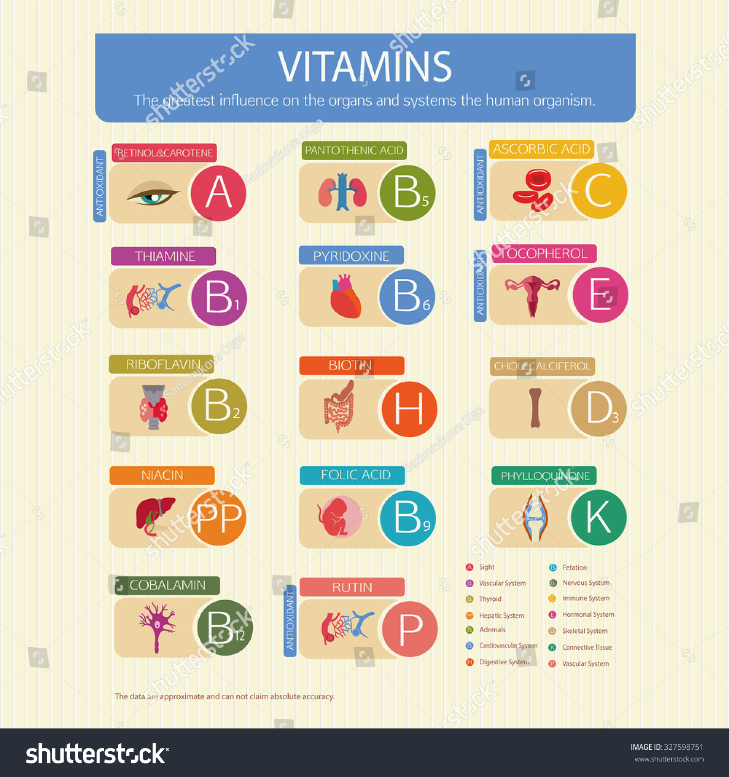 Vitamins And Their Effect On Human Organs Schematic Representation The Scientific Name Of