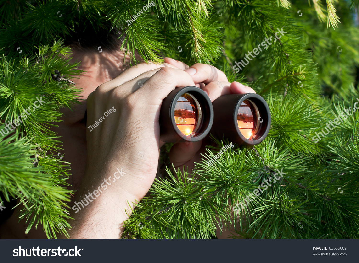 stock-photo-watching-from-the-bushes-with-binoculars-83635609.jpg