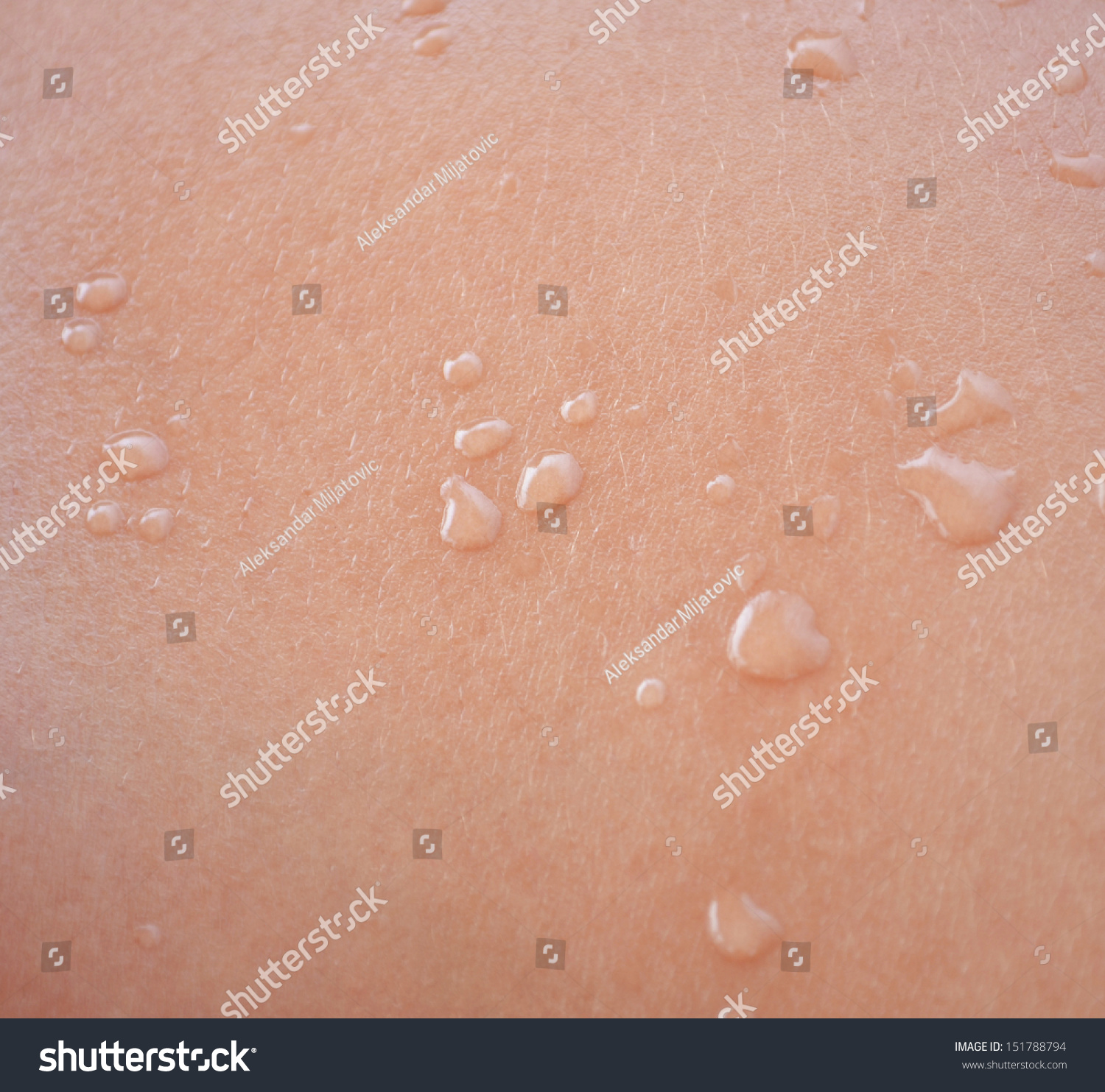 macro of water drop on human skin royalty free stock images image 25528569 water drops on human skin macro stock photo 151788794 macro of water drop on human skin royalty free stock images image 25528569 water drops on human skin macro stock photo 151788794