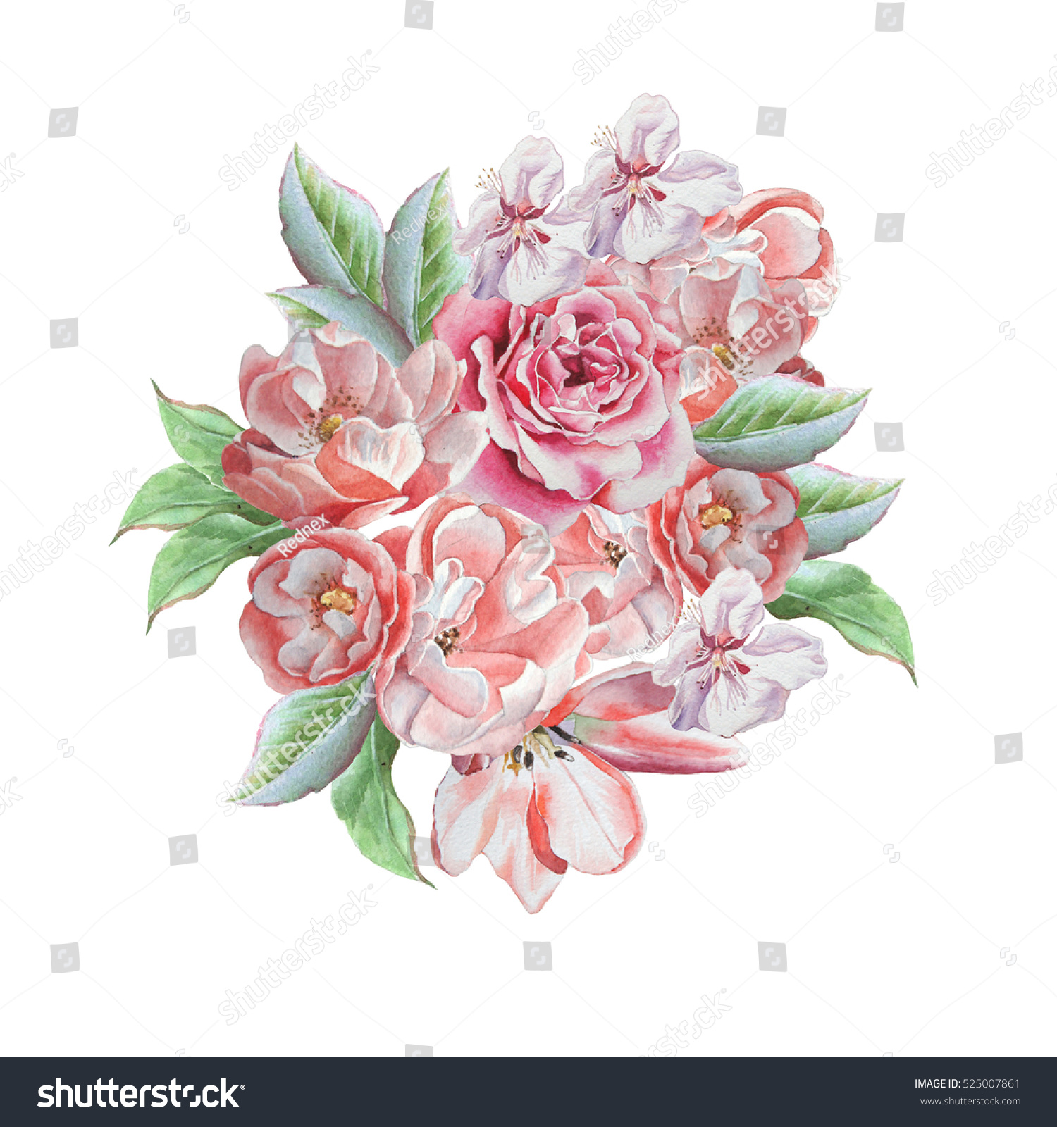 Watercolor Bouquet Flowers Rose Peony Watercolor