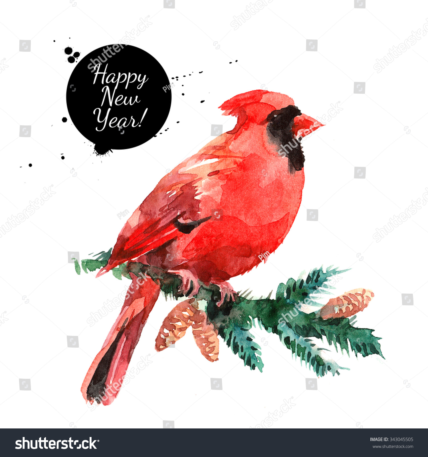 watercolor cardinal red bird illustration merry stock christmas card cardinal