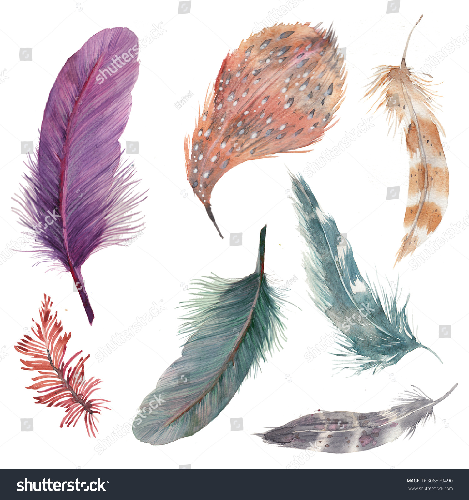 Watercolor Feathers Collection Hand Drawn Artistic Multicolor Feather