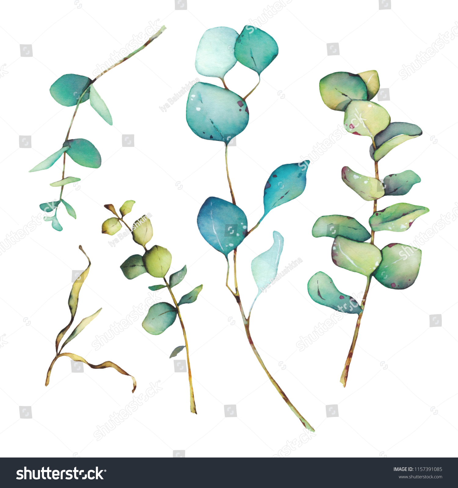 Watercolor Hand Painted Set Eucalyptus Leaves Stock Illustration 1157391085