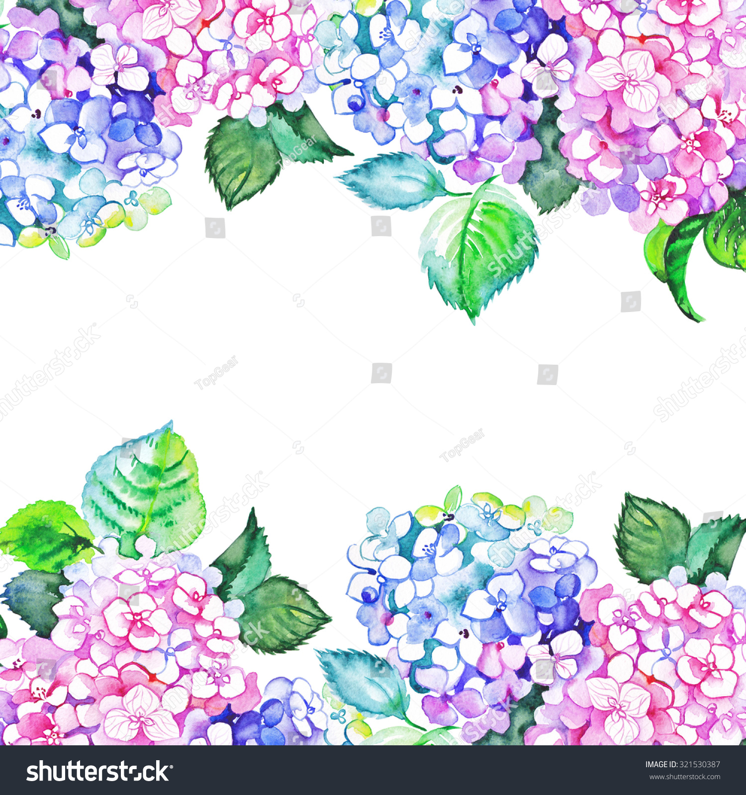 Watercolor Hydrangea Borders Stock Illustration 321530387 - Shutterstock