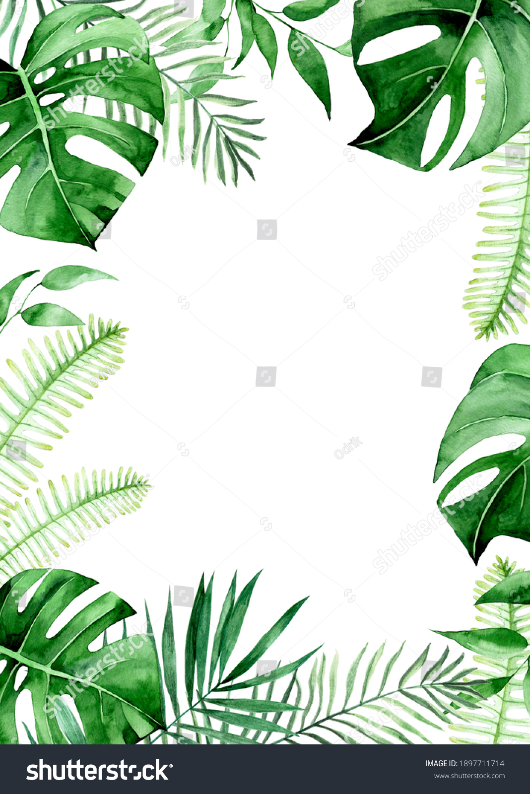 19 038 Monstera Leaf Border Images Stock Photos Vectors Shutterstock