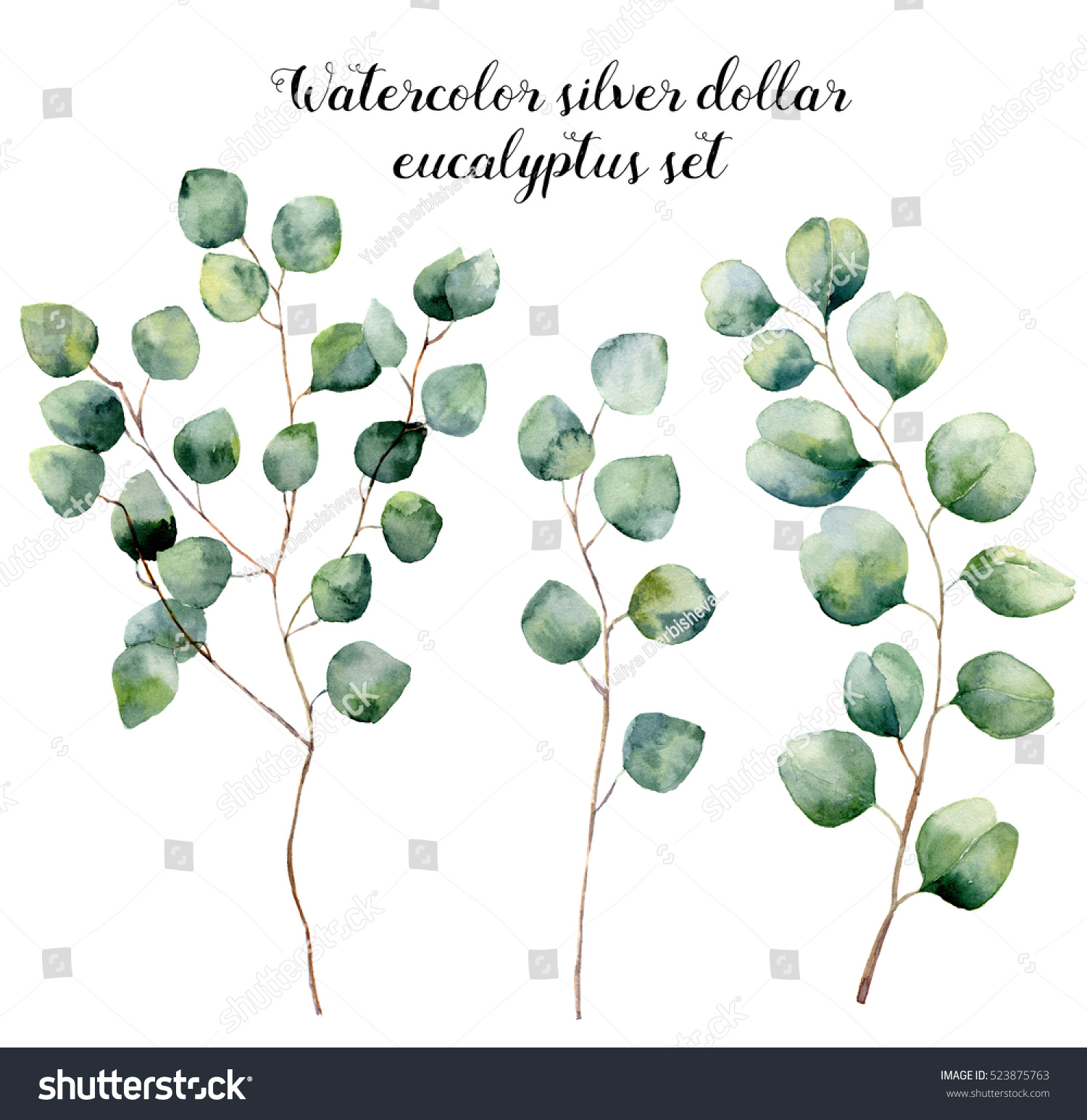 Watercolor Silver Dollar Eucalyptus Set Hand Stock Illustration