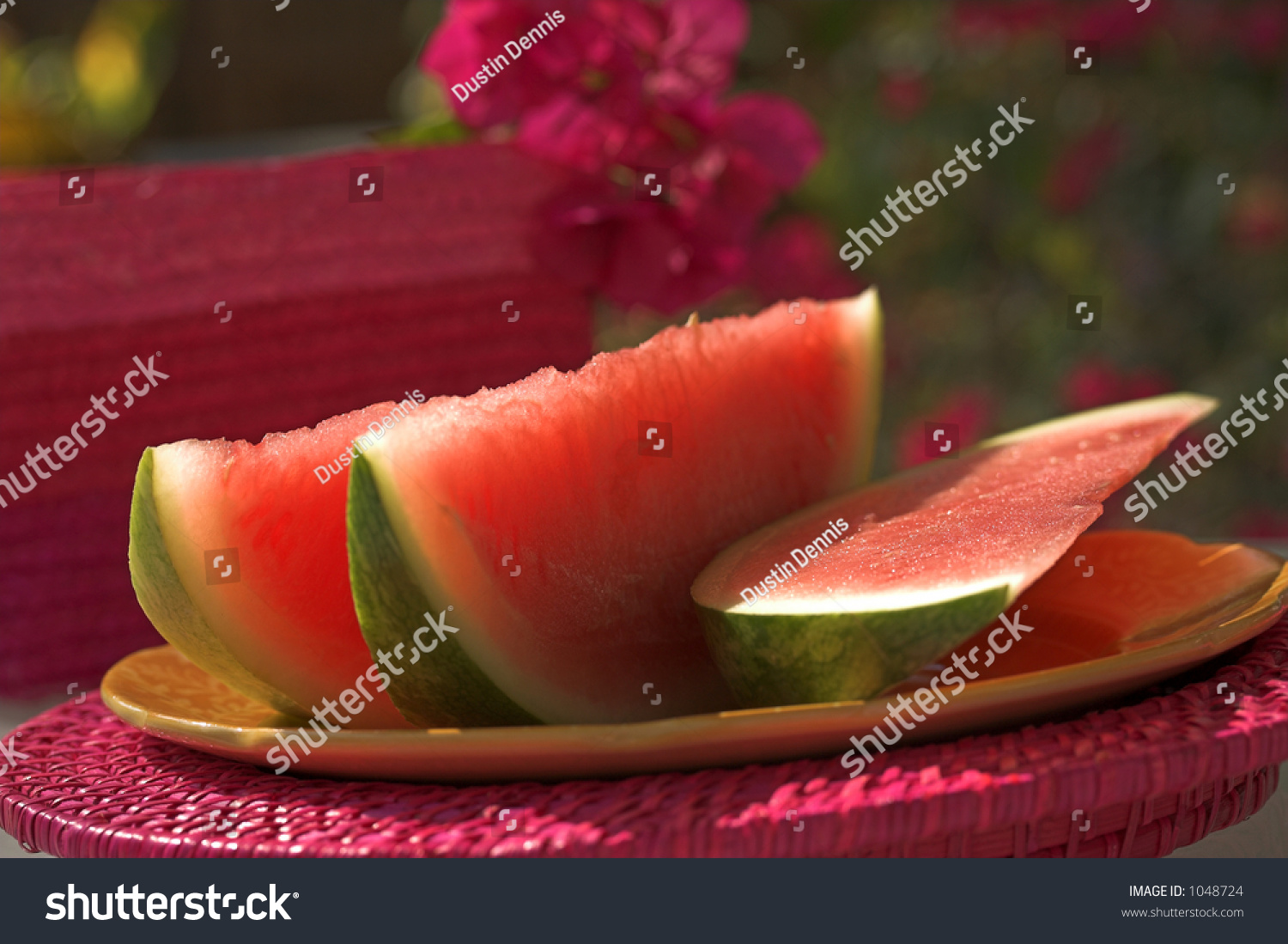 Watermelon Slices Stock Photo 1048724 Shutterstock