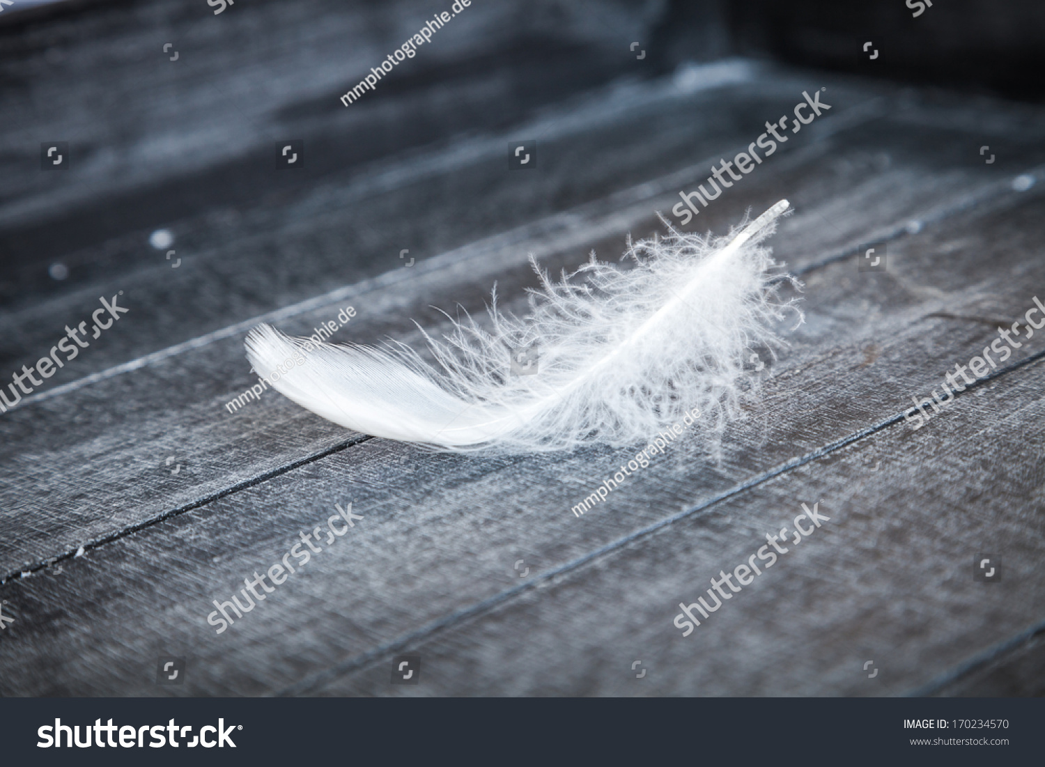 down feather