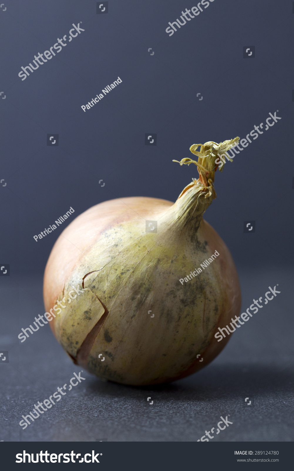 darkest onion articles darkest red onion articles