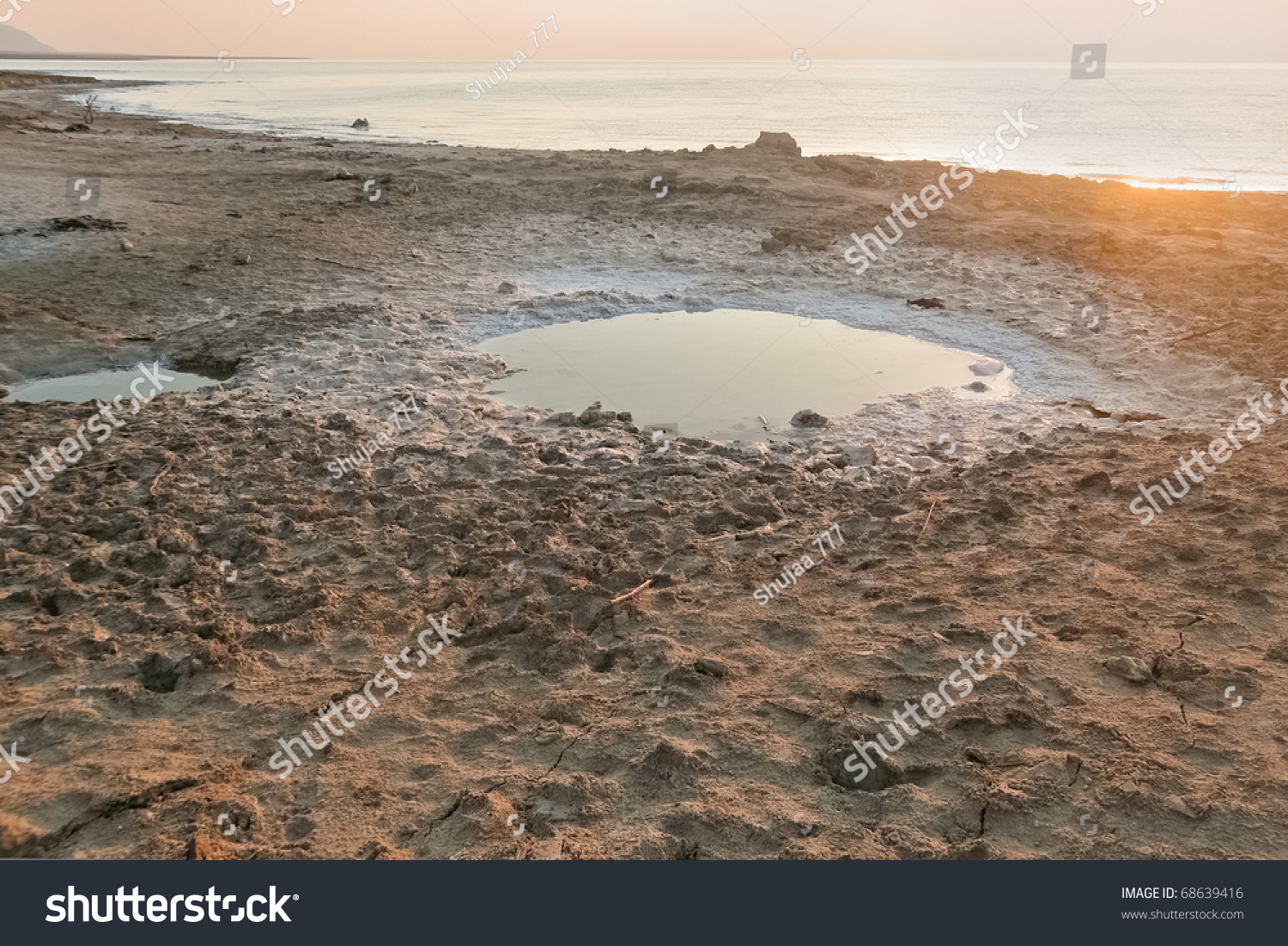 salt water pool salinity