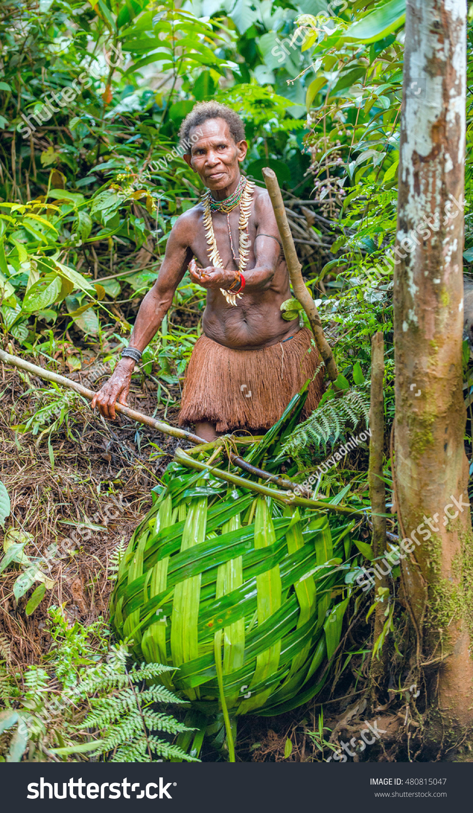 Wild Jungle Irian Jaya New Guinea Stock Photo Edit Now