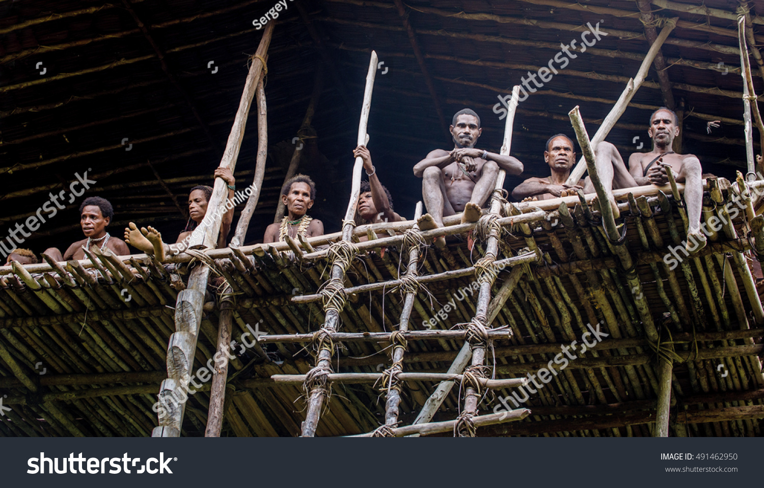 Wild Jungle Irian Jaya New Guinea Stock Photo Shutterstock