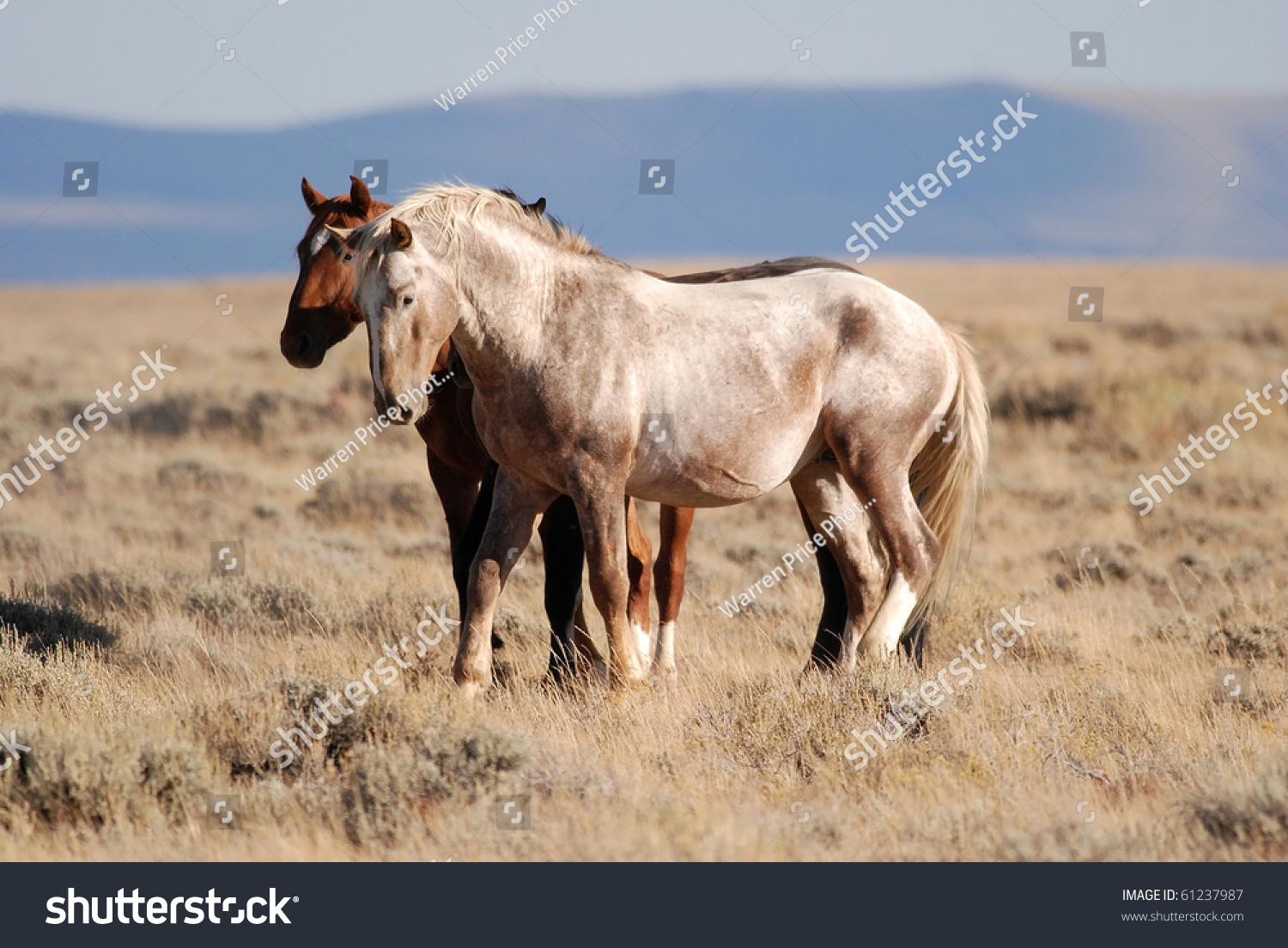 Horse Property Butte County Horse Property Butte County