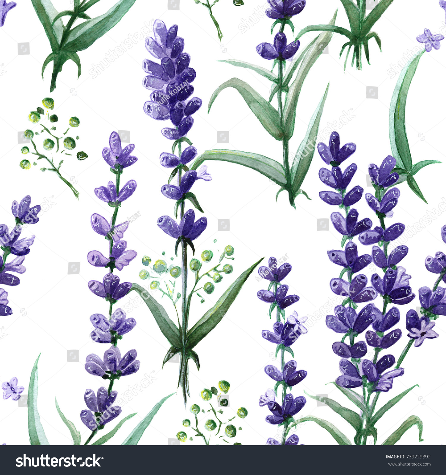 Wildflower Lavender Flower Wreath Watercolor Style Stock Illustration