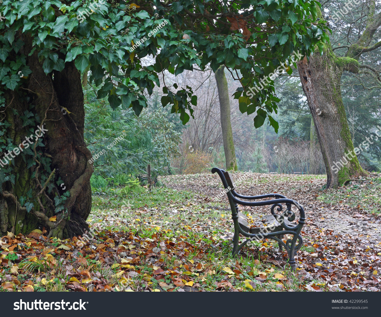 winter-without-snow-in-a-park-stock-photo-42299545-shutterstock