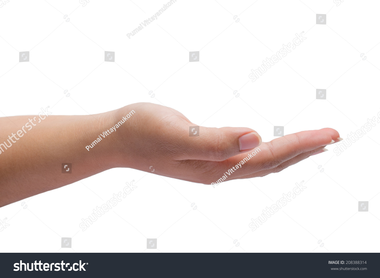 Woman Hand Isolated On White Stock Photo 208388314 : Shutterstock