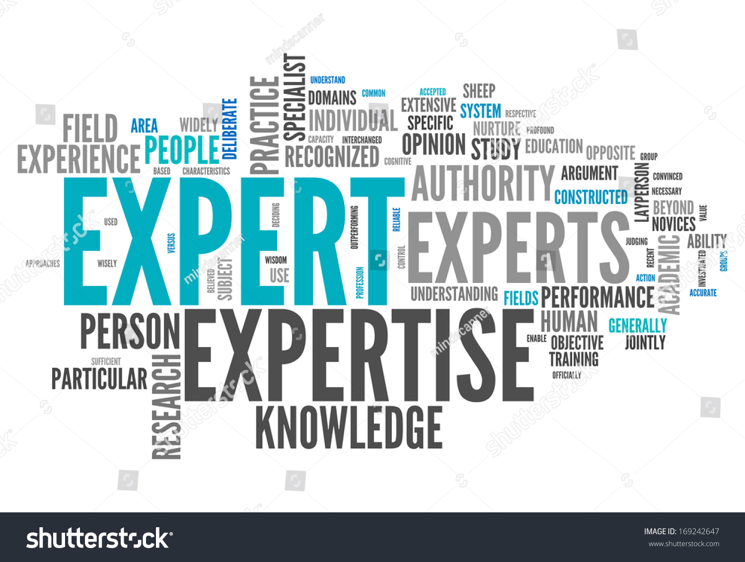 word-cloud-with-expert-related-tags-stock-photo-169242647-shutterstock