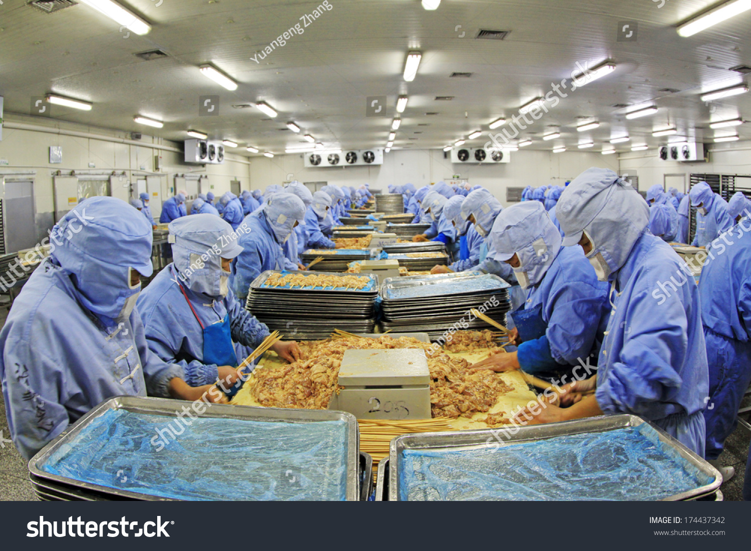 Workers Meat Processing Production Line Food Stock Photo 174437342