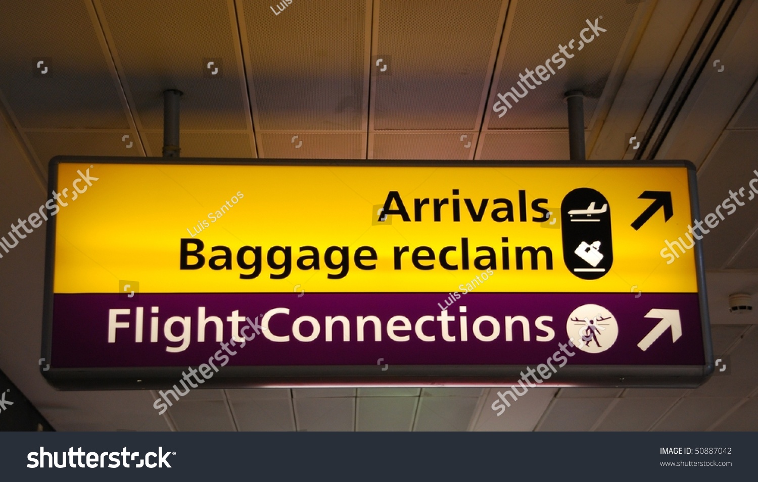 Yellow Arrivalsbaggage Claim Puprle Flight Connections Stock Photo 50887042 - Shutterstock1500 x 955