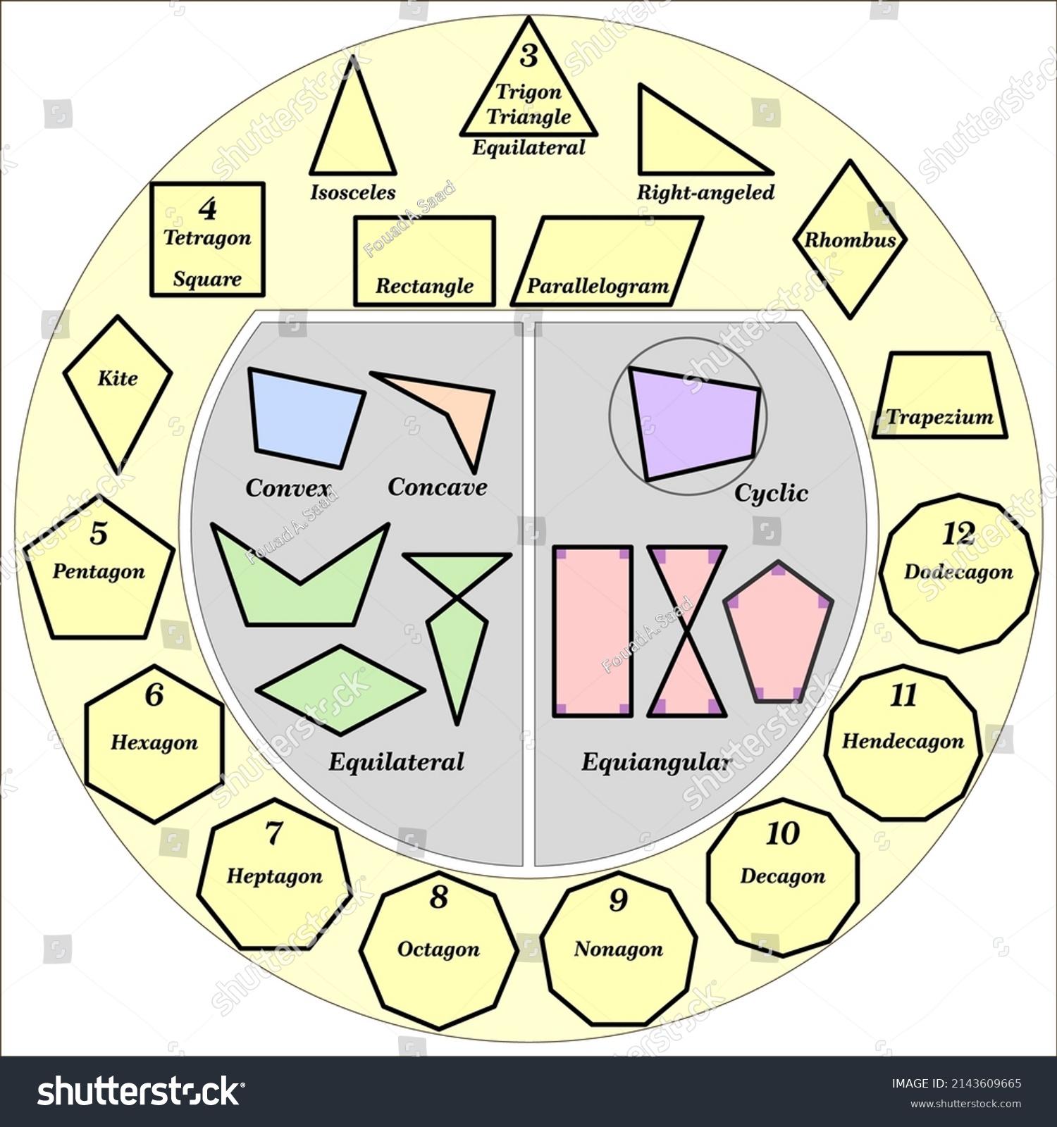 Different Types Polygons Regular Concave Convex Stock Vector Royalty