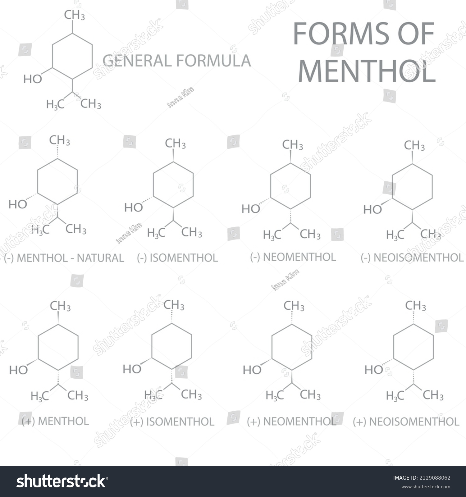 Formas de fórmula química molecular menthol vector de stock libre de