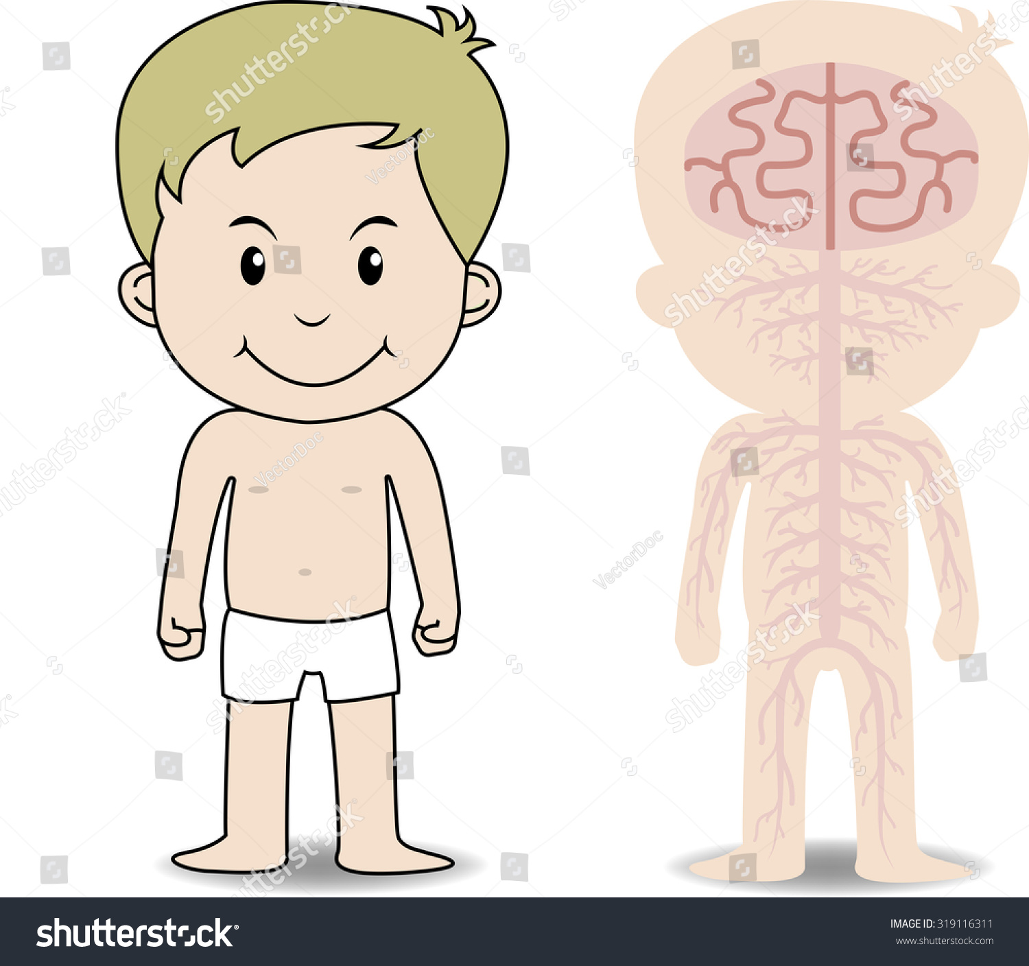 My Body Educational Anatomy Body Organ Stock Vector 319116311