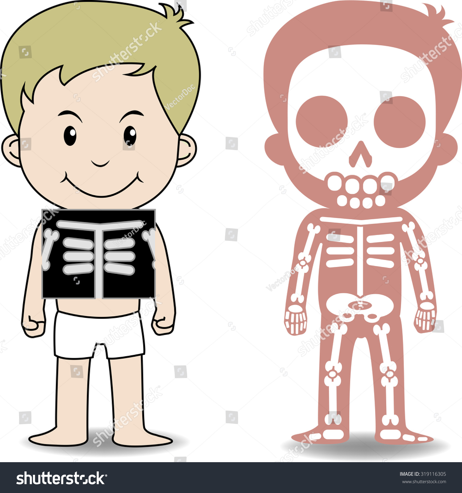 free clipart human body systems - photo #29