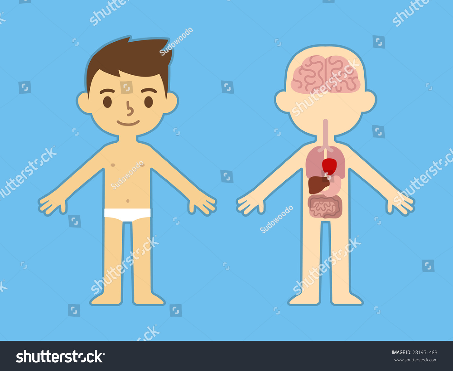 My Body Educational Infographic Chart Kids Stock Vector 281951483