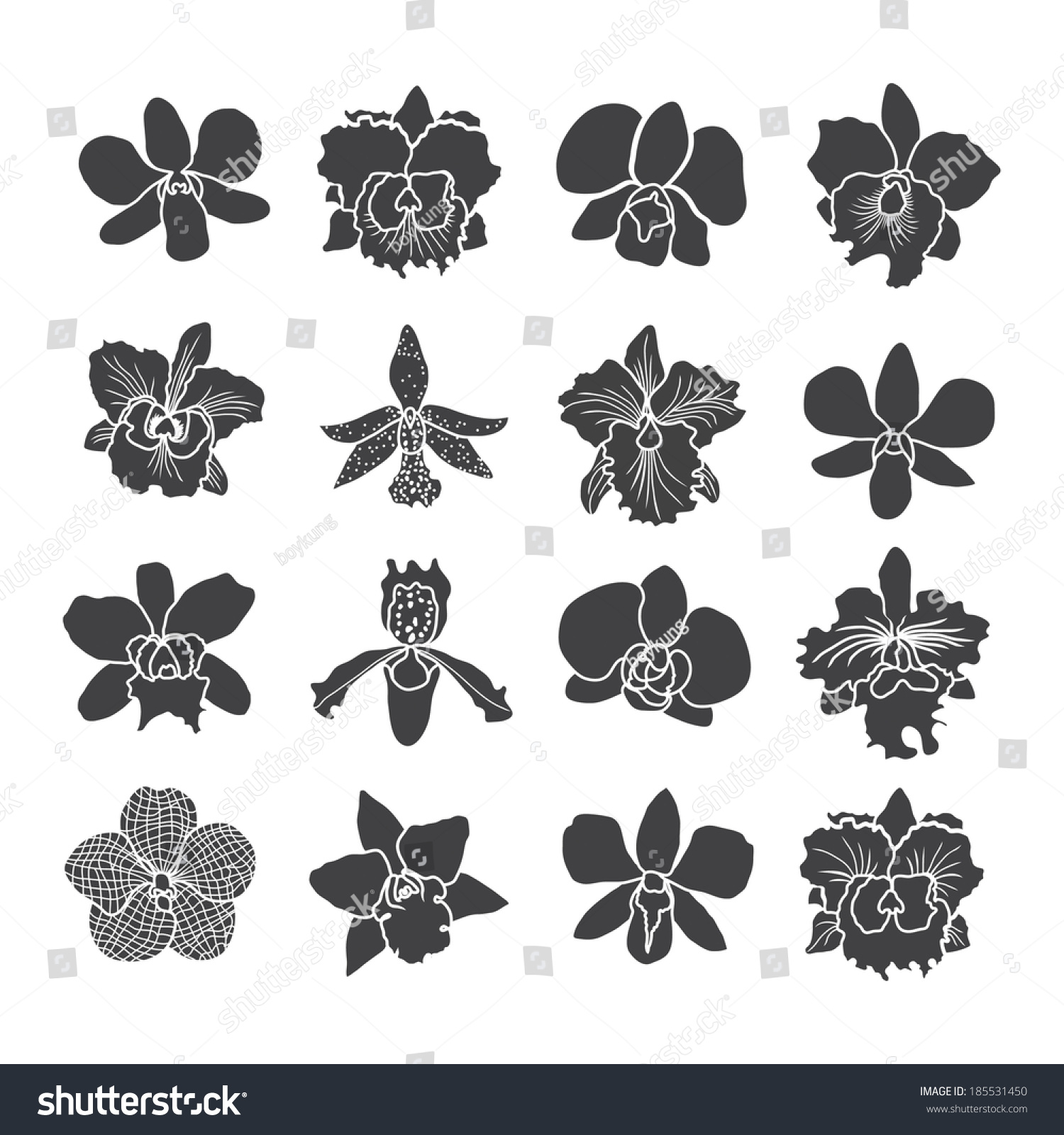 Orchid Vector