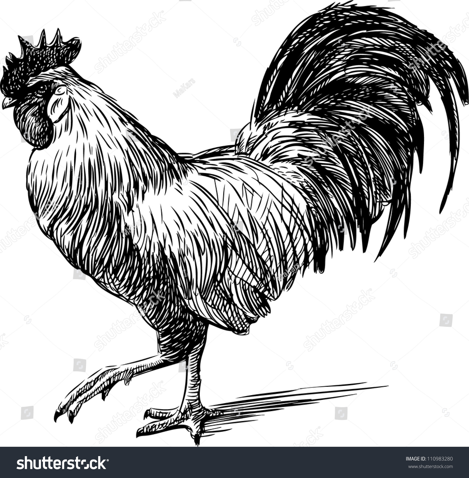 Rooster Stock Vector 110983280 Shutterstock