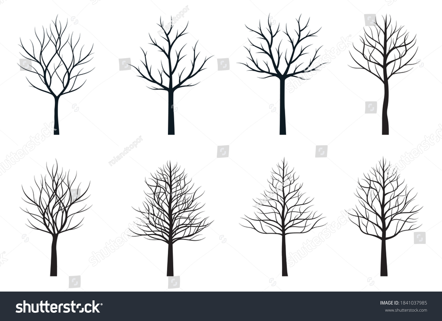 Set Black Naked Trees Vector Outline Shutterstock