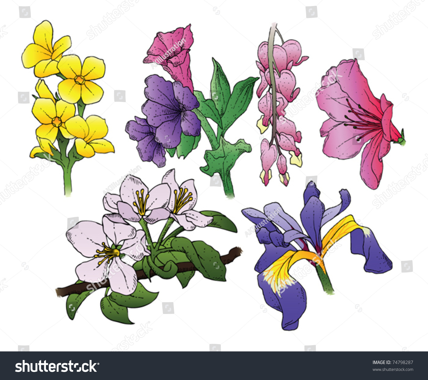 A Set Of 6 Hand-Drawn Flowers. Vector. - 74798287 : Shutterstock