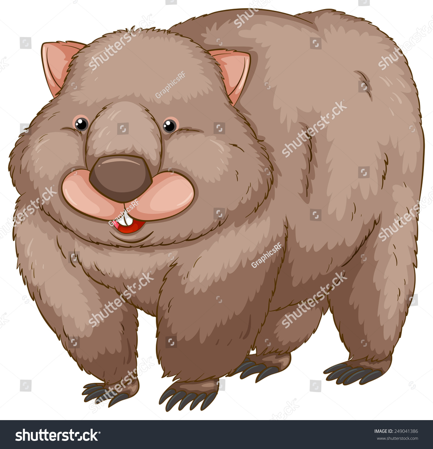 A Wombat On A White Background Stock Vector Illustration 249041386