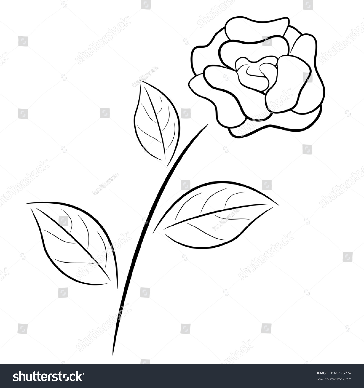 White Rose Outline