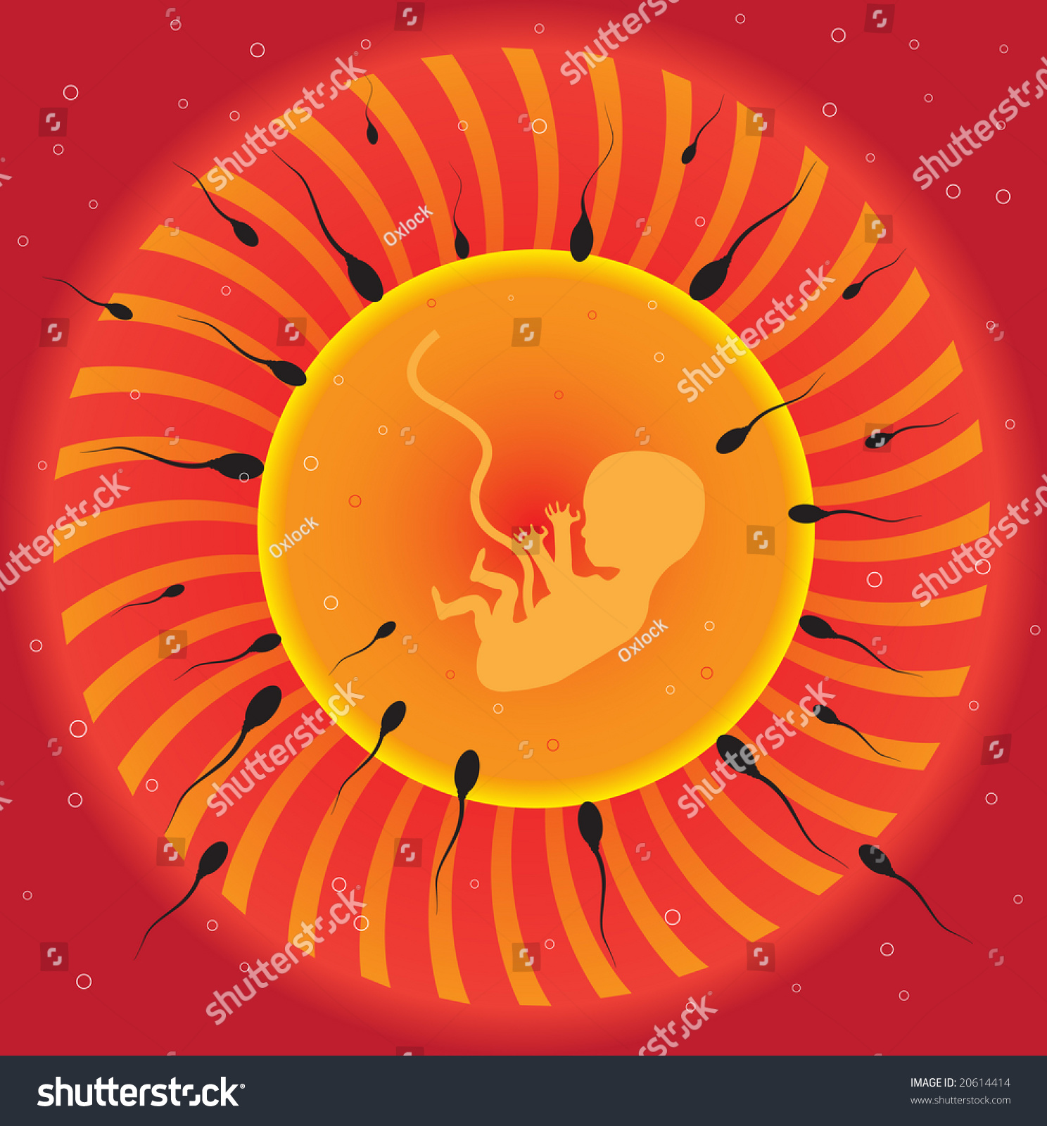 Abstract Colorful Illustration With Human Egg Cell Being Fertilized By