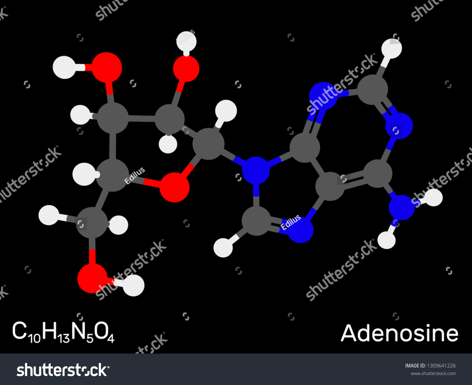 Adenosine Nucleoside Neurotransmitter Model Molecule Stock Vector